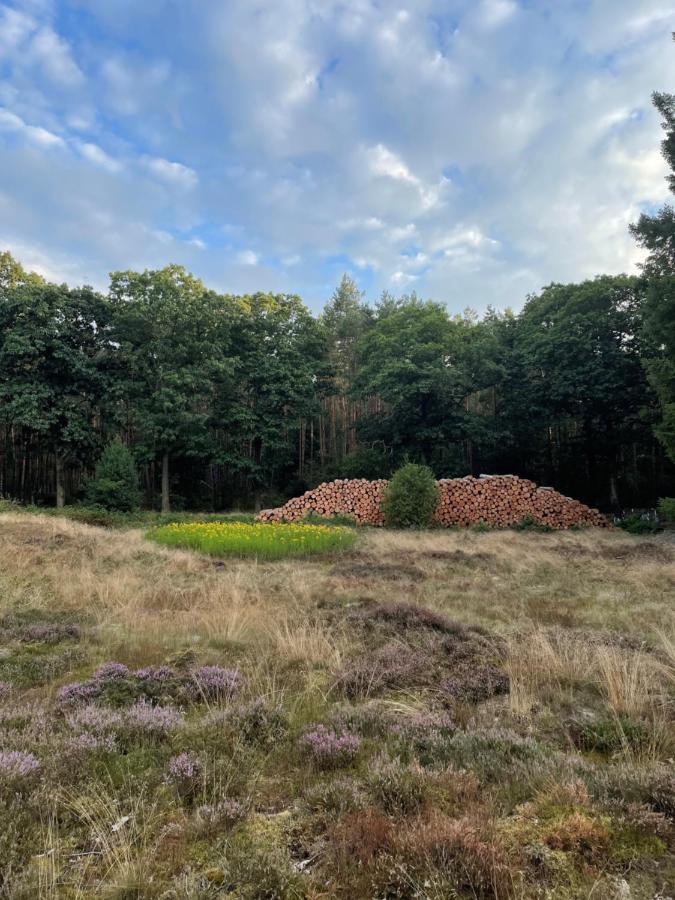 Wapen Van Exloo Eksteriør billede